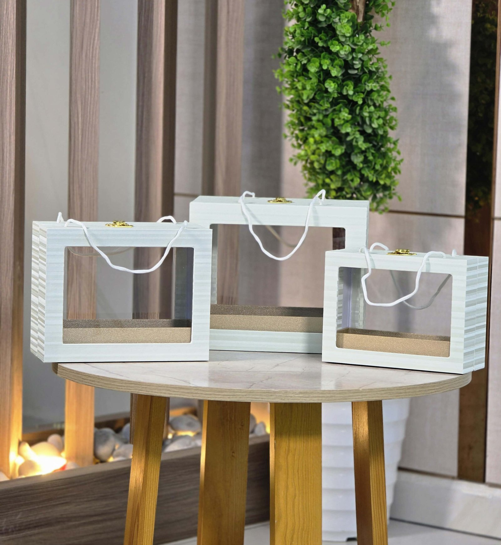 عـلب بليـكسي